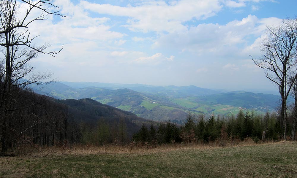 hochwienerwald